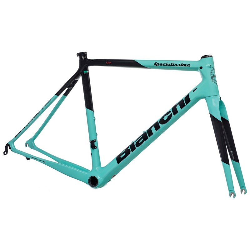 Bianchi frameset 2025